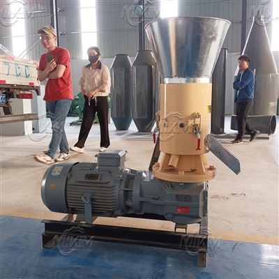 Biofuel Sawdust Pellet Machine Biofuel Sawdust Pellet Machine